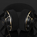High End наушники Final Audio DX10000CL Collectors Edition Black Gold - рис.6