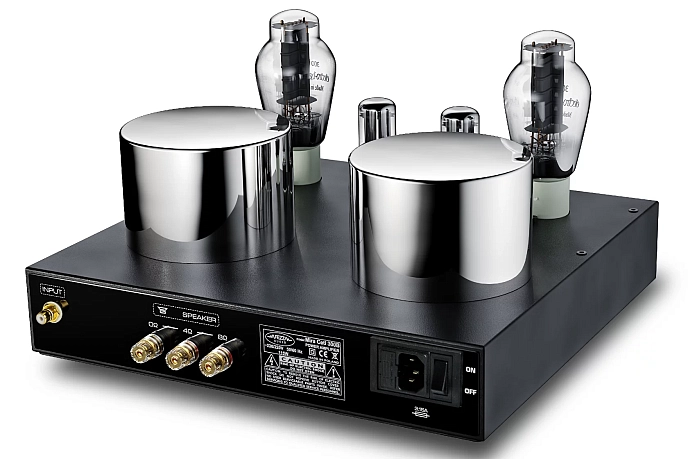 Усилитель Fezz Audio Mira Ceti 300b mono Black Ice - рис.1