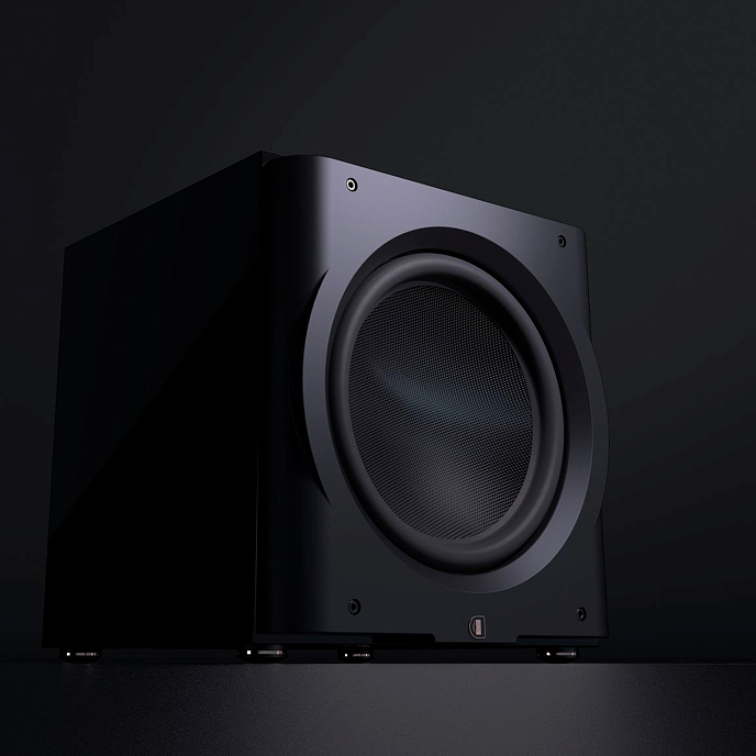 Сабвуфер Perlisten Audio R18s Matte Black - рис.5