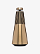 Акустическая система Bang & Olufsen BeoSound 2 Gold Tone - рис.5