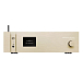 Сетевой аудиоплеер Gold Note DS-1000 Evo Gold - рис.0