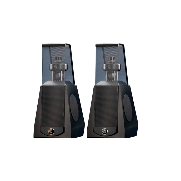 Полочная акустика MBL 126 (w/o stand) Satin Black Gold - рис.0