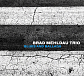 Виниловая пластинка Brad Mehldau Trio - Blues and Ballads - рис.0