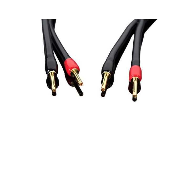 Кабель Transparent Audio Wave G6 Speaker Cable SB - SB 2.4 m - рис.0