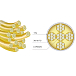 Кабель Nobunaga Labs Supreme Miotukusi Kiwami Gold MMCX - 4.4 mm - рис.5