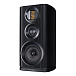 Полочная акустика Wharfedale EVO 4.2 Black Oak - рис.7