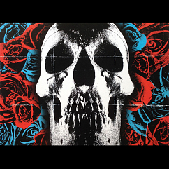 Пластинка Deftones - Deftones