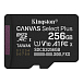 Карта памяти Kingston Canvas Select Plus Gen3 Adaptor 256 Gb Adaptor - рис.2