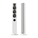Напольная акустика Piega Ace 50 White - рис.0