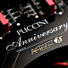 Интегральный усилитель Audio Analogue Puccini Anniversary Black - рис.6 Интегральный усилитель Audio Analogue Puccini Anniversary Black - рис.6