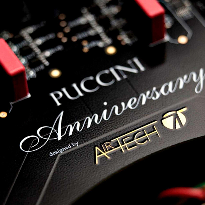Интегральный усилитель Audio Analogue Puccini Anniversary Black - рис.6