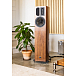 Напольная акустика Apertura Edena Evolution American Walnut - рис.1