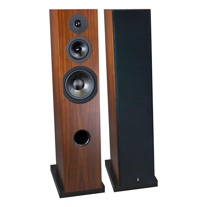 Напольная акустика Davis Acoustics Courbet N 8 Walnut - рис.0