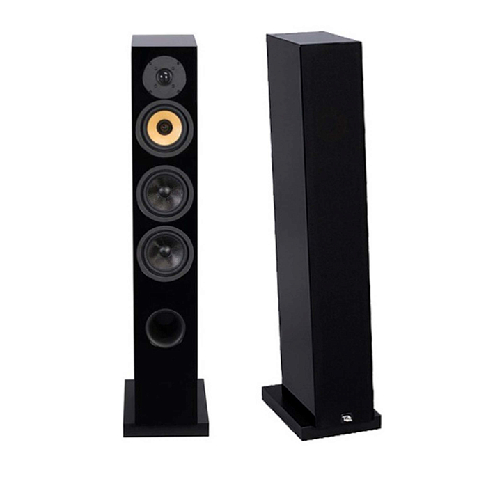 Напольная акустика Davis Acoustics Courbet N 5 Black Gloss - рис.1