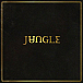 Виниловая пластинка Jungle – Jungle LP - рис.0