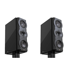 Полочная акустика Perlisten Audio S5m Standart Piano Black