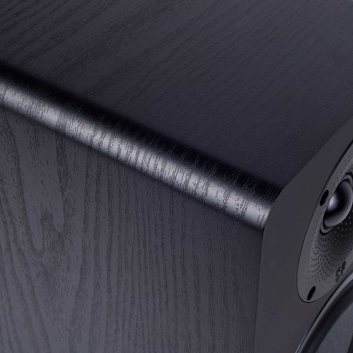 Студийный монитор Radiotehnika S-20M Black Ash - рис.6