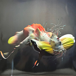 Виниловая пластинка Bjork – Cornucopia Live - 3LP