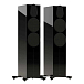 Напольная акустика Monitor Audio Gold 500 (6G) Gloss Black - рис.1