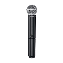 Радиосистема Shure BLX24E/SM58 M17