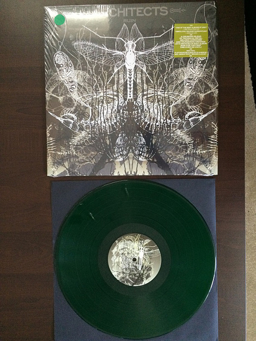 Виниловая пластинка Architects - Ruin - рис.2