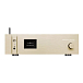 Сетевой аудиоплеер Gold Note DS-1000 Evo Line Gold - рис.0