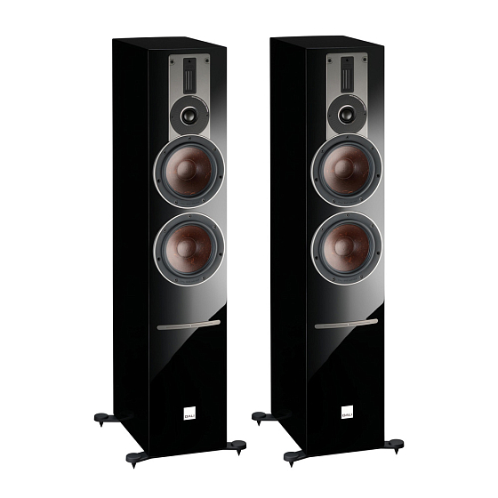 Напольная акустика Dali Rubicon 6 C, Sound Hub, BluOs Black High Gloss - рис.0