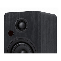 Полочная акустика Premiera RS-301A Black