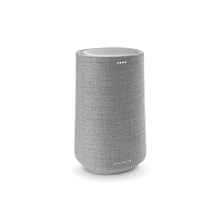 Портативная колонка Harman Kardon Citation 100 Grey