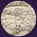 Виниловая пластинка Prince - Musicology - рис.2