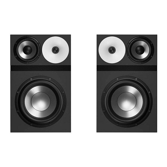 Студийный монитор Amphion One25A pair черный - рис.0