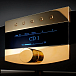 Интегральный усилитель MBL C51 Integrated Amplifier Black Gold - рис.3