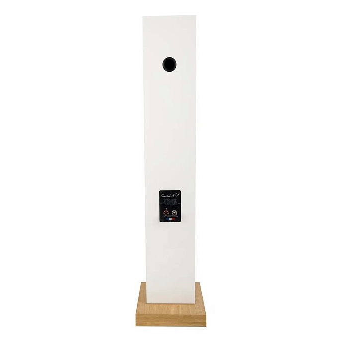 Напольная акустика Davis Acoustics Courbet N 7 White Gloss - рис.3