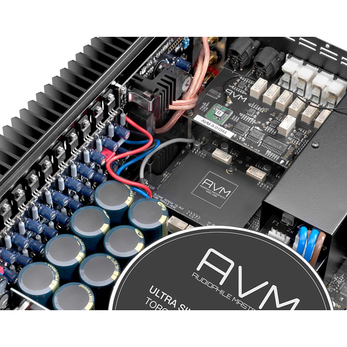 Усилитель мощности AVM Audio SA 6.3 Cellini Chrome - рис.2