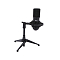 Ritmix RDM-160 Black