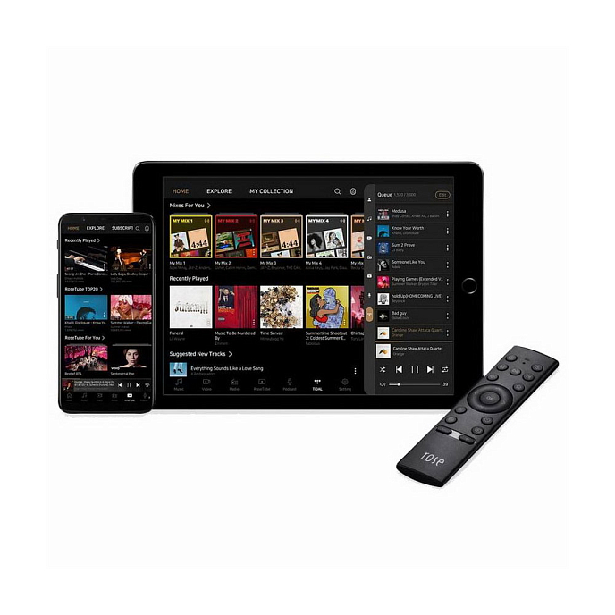 Сетевой аудиоплеер Rose RS250 - рис.6