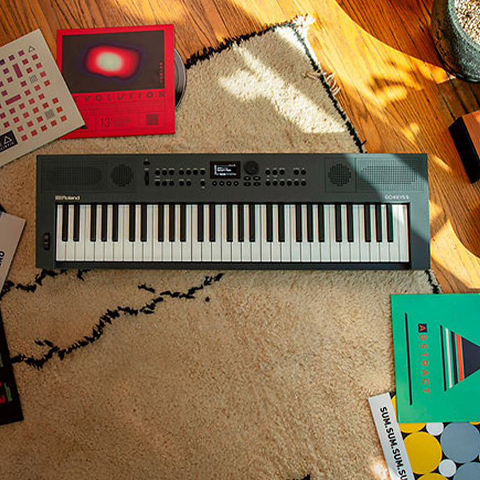 Синтезатор Roland Go: Keys-5-GT Graphite - рис.5