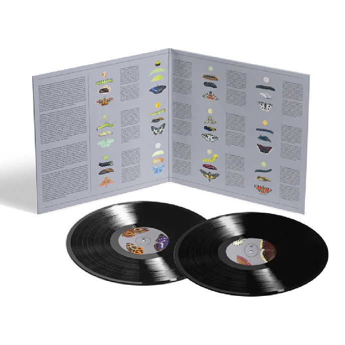 Виниловая пластинка Dominik Eulberg - Lepidoptera - 2LP - рис.5