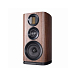 Полочная акустика Wharfedale EVO 4.2 Walnut - рис.3