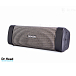 Портативная колонка Denon Envaya Mini DSB-150BT Grey - рис.0