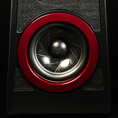 Полочная акустика Wilson Audio Tune Tot Carbon