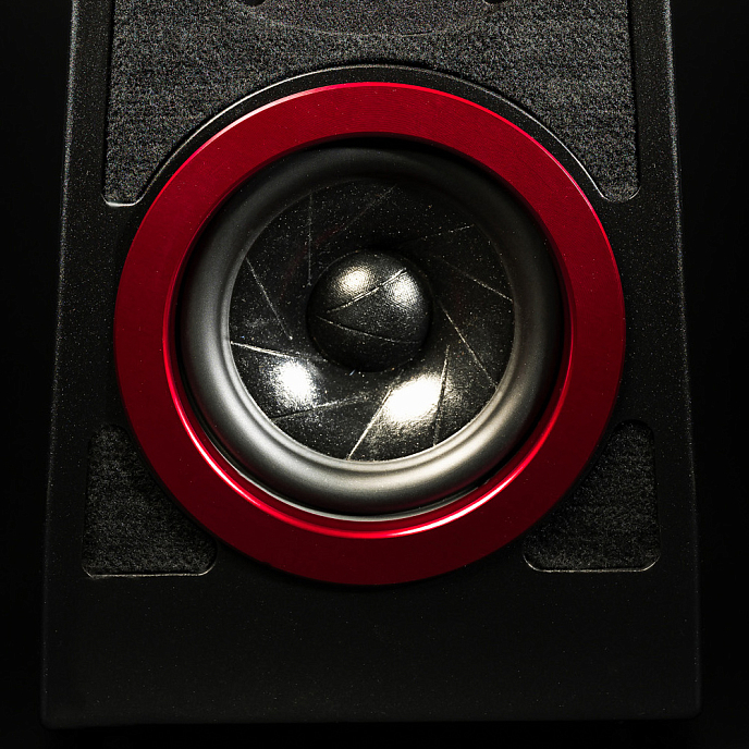 Полочная акустика Wilson Audio Tune Tot Carbon - рис.2