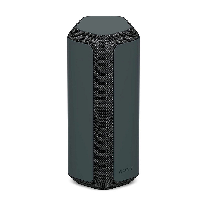 Портативная колонка Sony SRS-XE300 Black - рис.0