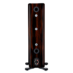 Напольная акустика Monitor Audio Platinum 300 3G Piano Ebony