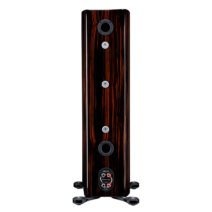 Напольная акустика Monitor Audio Platinum 300 3G Piano Ebony - рис.2