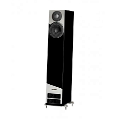 Напольная акустика PMC Active twenty5 23i Black Diamond