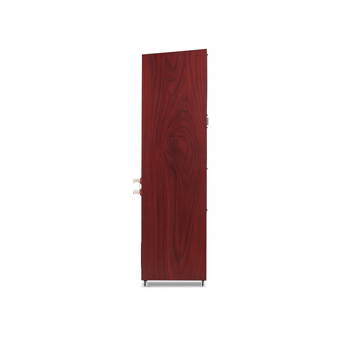 Напольная акустика Martin Logan Motion 20i Red Walnut - рис.5