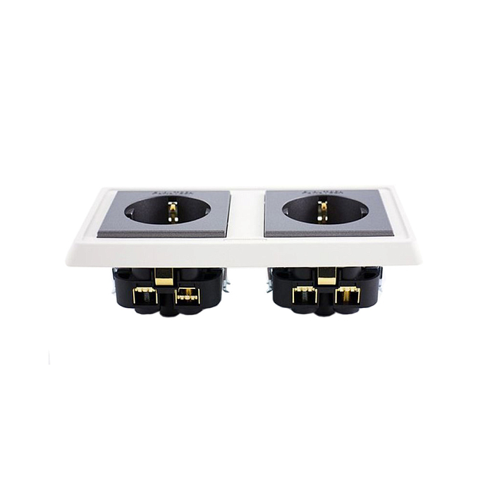 Розетка Furutech FP-SWS-D G - рис.0