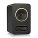 - рис.2 Студийный монитор Tannoy Gold 5 Black - рис.2