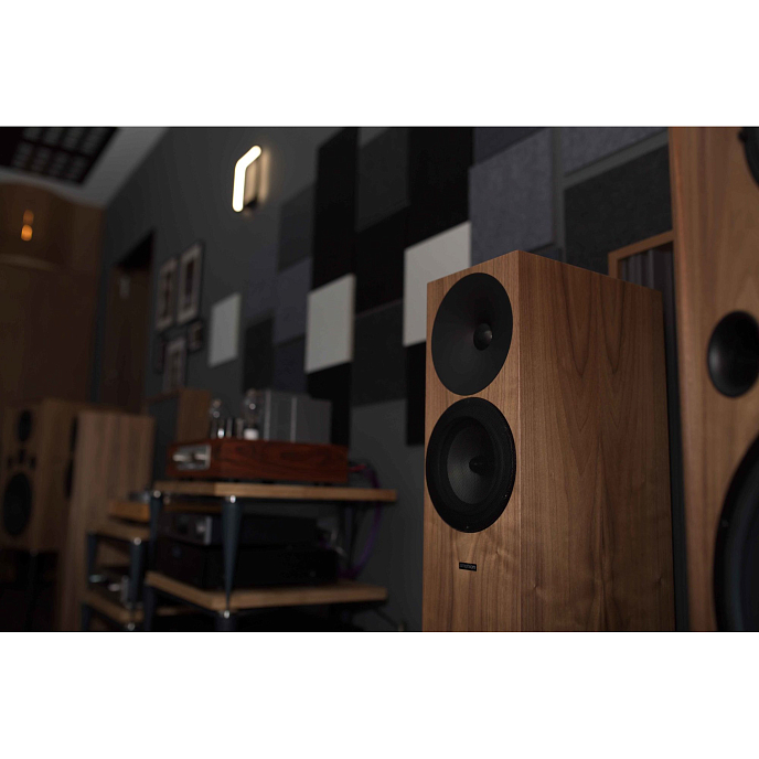 Напольная акустика Amphion Argon3LS Walnut - рис.4